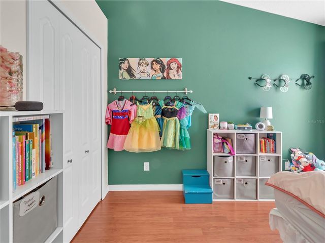 11529 CYPRESS RESERVE DRIVE, Tampa, FL 33626