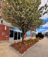 441 Washington St 305, Dedham, MA 02026