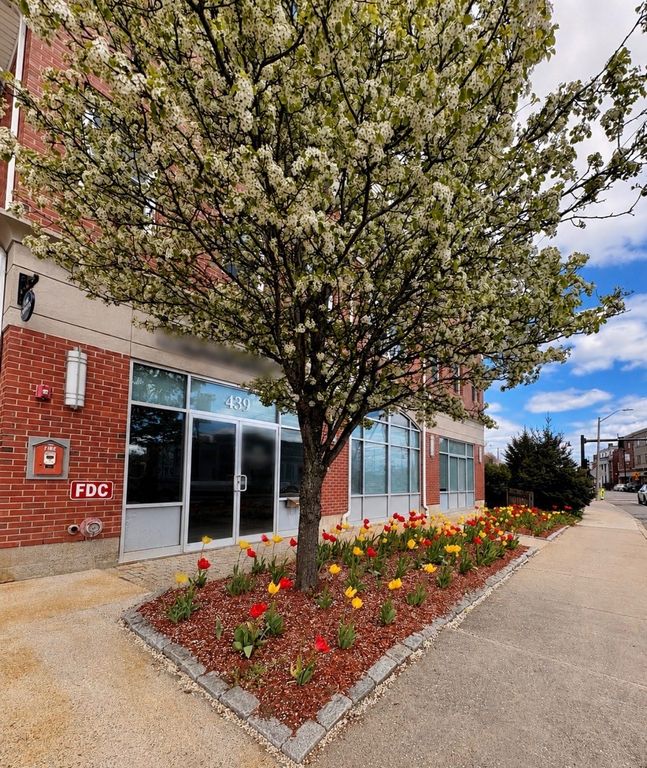 441 Washington St 305, Dedham, MA 02026