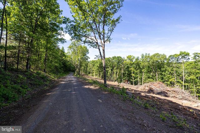 0 CROSS MOUNTAIN RD, Luray, VA 22835