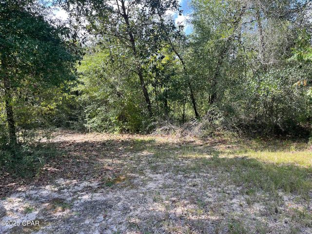 2355 Momence Court, Alford, FL 32420