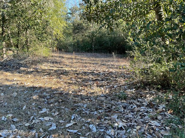 2355 Momence Court, Alford, FL 32420