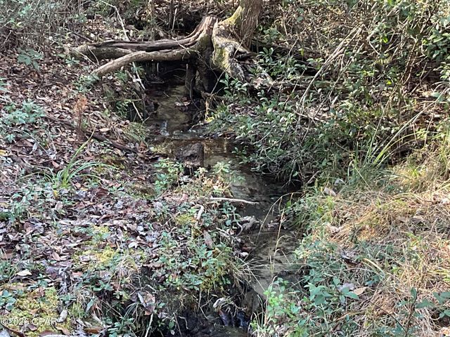 2355 Momence Court, Alford, FL 32420