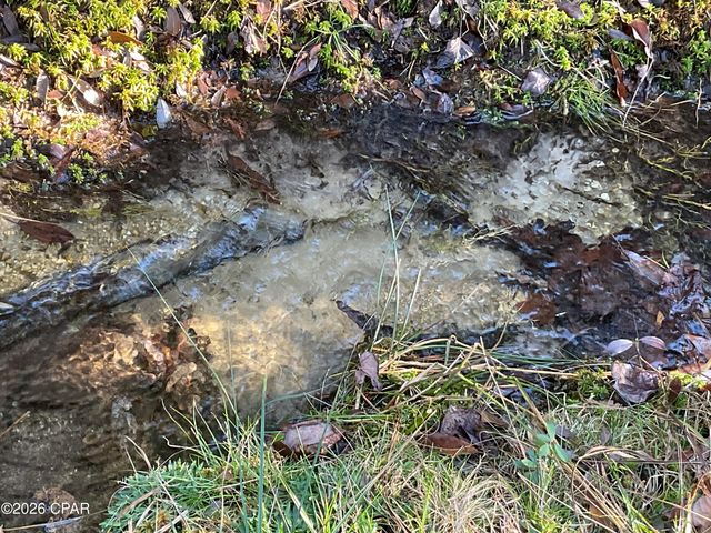 2355 Momence Court, Alford, FL 32420