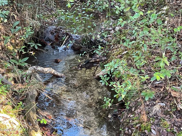 2355 Momence Court, Alford, FL 32420