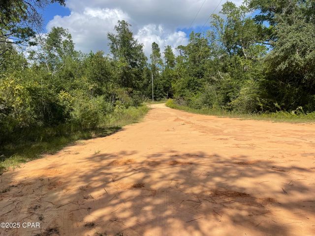 2355 Momence Court, Alford, FL 32420