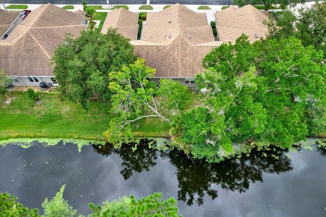 4353 BROOKER CREEK DR, Palm Harbor, FL 34685