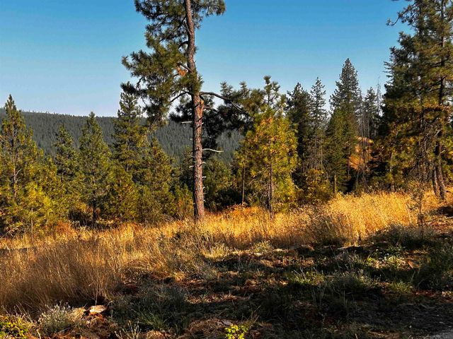 4330192100 Horseshoe Lake Rd, Deer Park, WA 99006