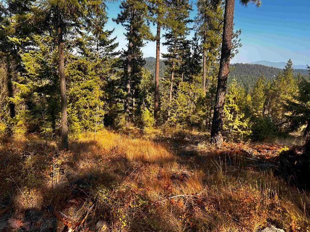 4330192100 Horseshoe Lake Rd, Deer Park, WA 99006