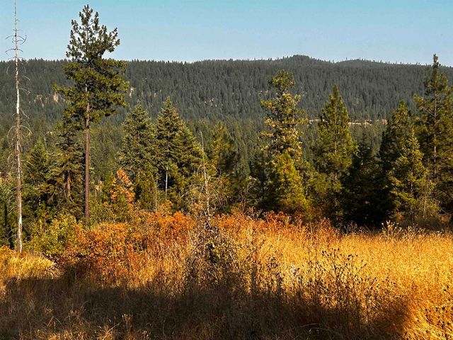 4330192100 Horseshoe Lake Rd, Deer Park, WA 99006