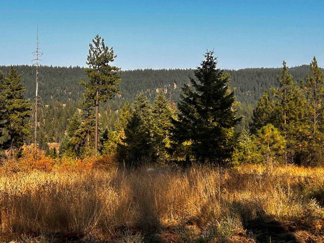 4330192100 Horseshoe Lake Rd, Deer Park, WA 99006