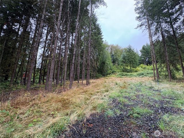 0 LOT B-D SE Rose Street, Winlock, WA 98596