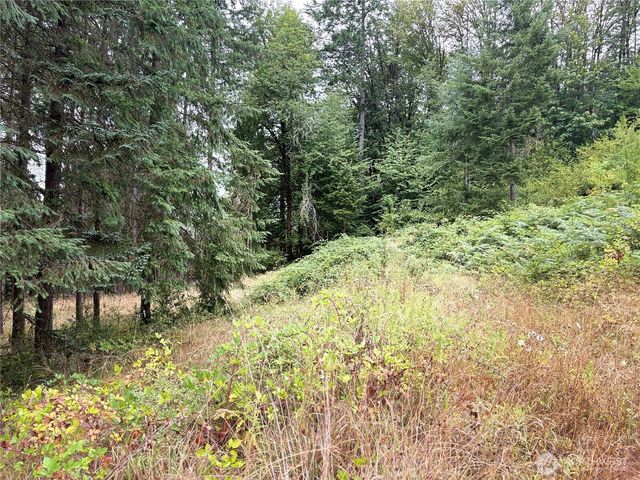 0 LOT B-D SE Rose Street, Winlock, WA 98596