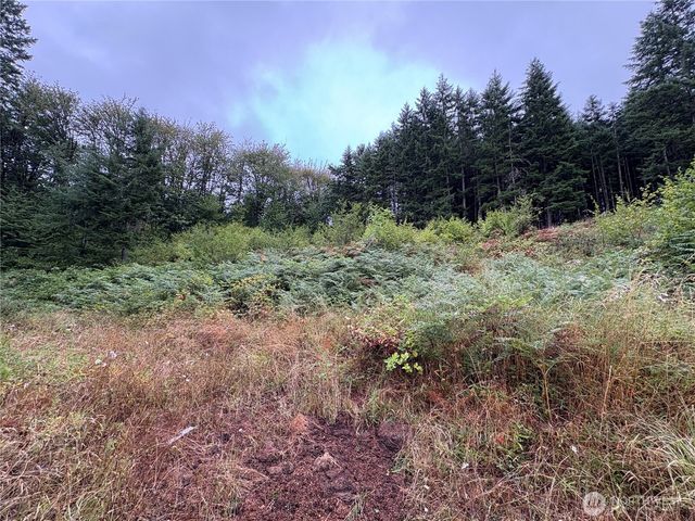 0 LOT B-D SE Rose Street, Winlock, WA 98596