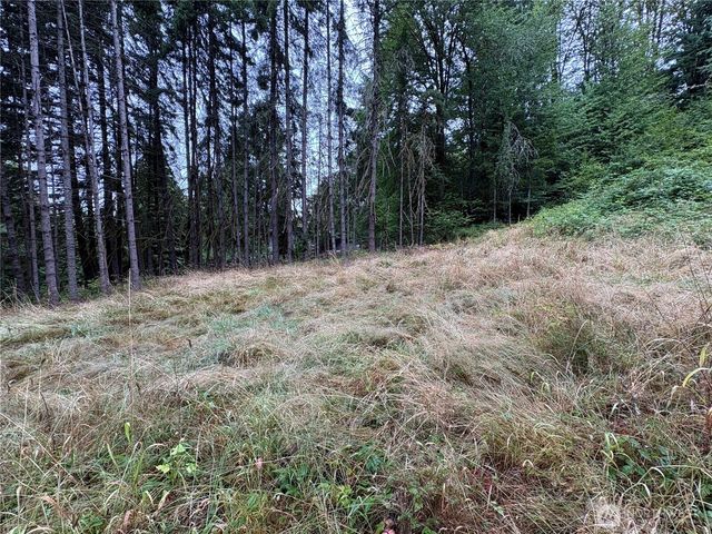 0 LOT B-D SE Rose Street, Winlock, WA 98596