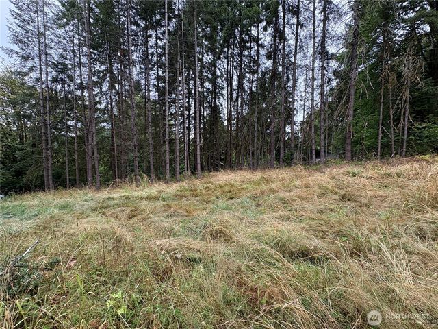 0 LOT B-D SE Rose Street, Winlock, WA 98596