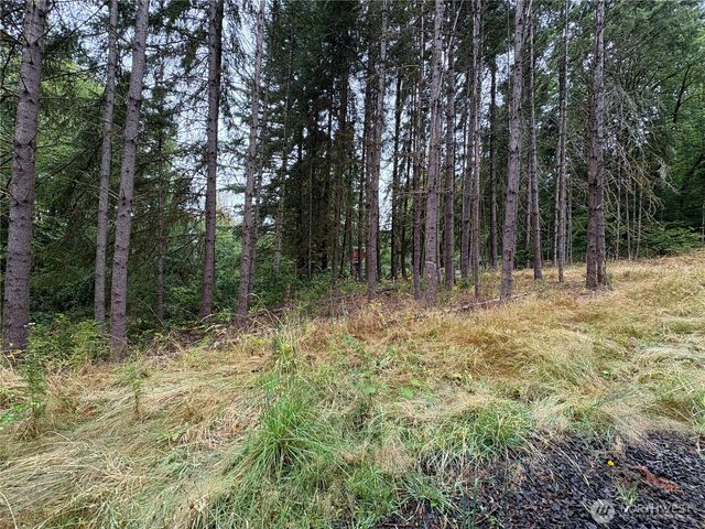 0 LOT B-D SE Rose Street, Winlock, WA 98596