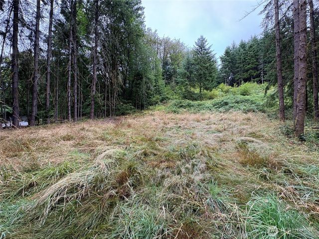 0 LOT B-D SE Rose Street, Winlock, WA 98596