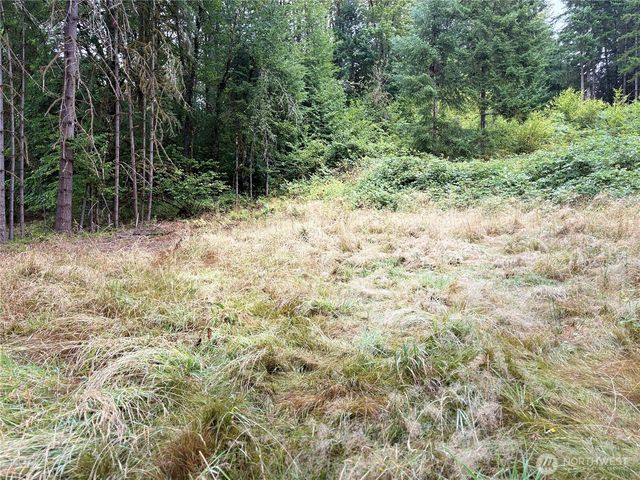 0 LOT B-D SE Rose Street, Winlock, WA 98596