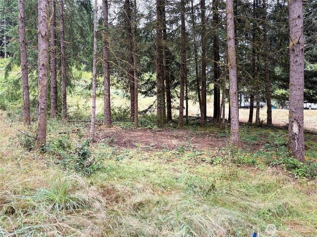 0 LOT B-D SE Rose Street, Winlock, WA 98596