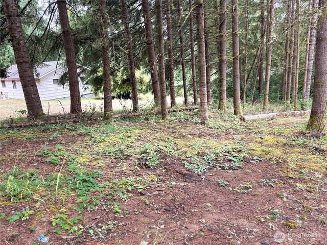 0 LOT B-D SE Rose Street, Winlock, WA 98596
