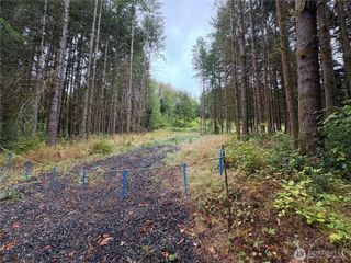 0 LOT B-D SE Rose Street, Winlock, WA 98596