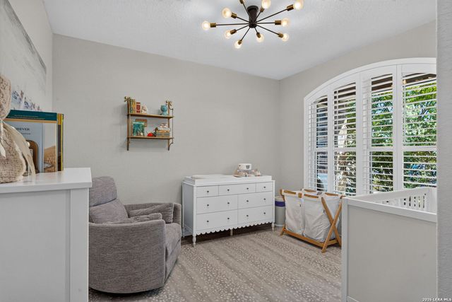 8703 Riddles Peak, San Antonio, TX 78254