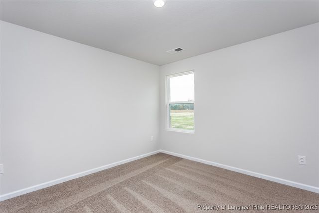 41 Camp Rock Road, Lillington, NC 27546