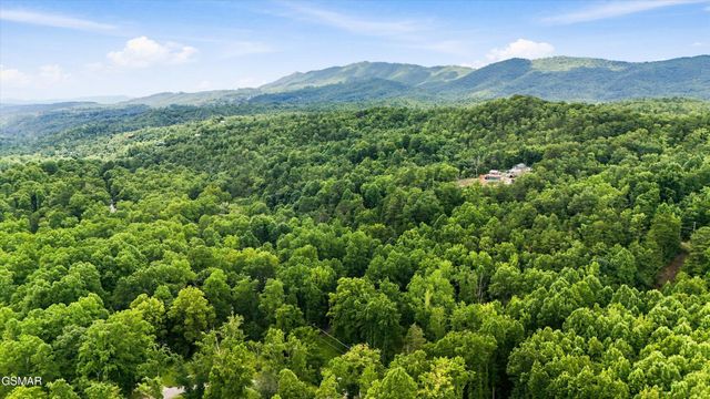 211 Webb Creek Skyline Drive, Gatlinburg, TN 37738