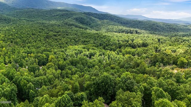 211 Webb Creek Skyline Drive, Gatlinburg, TN 37738