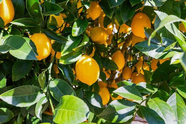 2573 Greenvale Ln, Santa Rosa, CA 95401