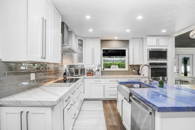 15306 LAKE MAURINE DRIVE, Odessa, FL 33556