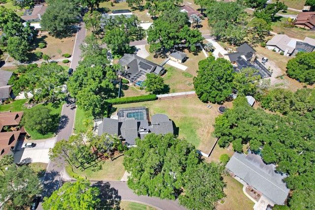 15306 LAKE MAURINE DRIVE, Odessa, FL 33556