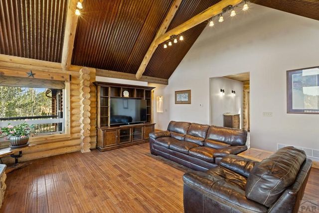 111 Blue Spruce Dr, Divide, CO 80814