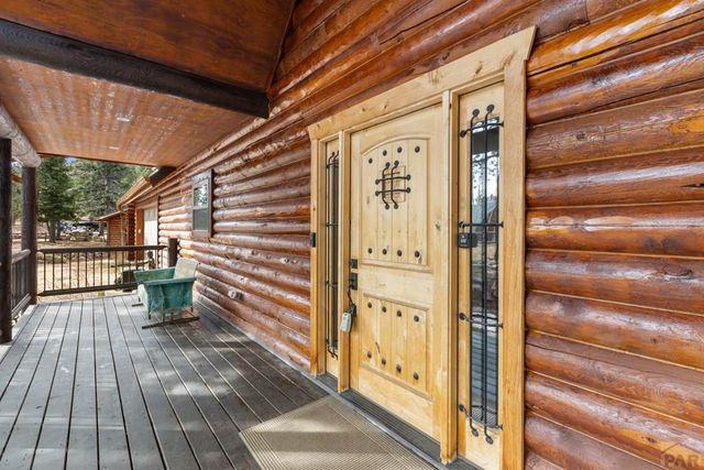 111 Blue Spruce Dr, Divide, CO 80814