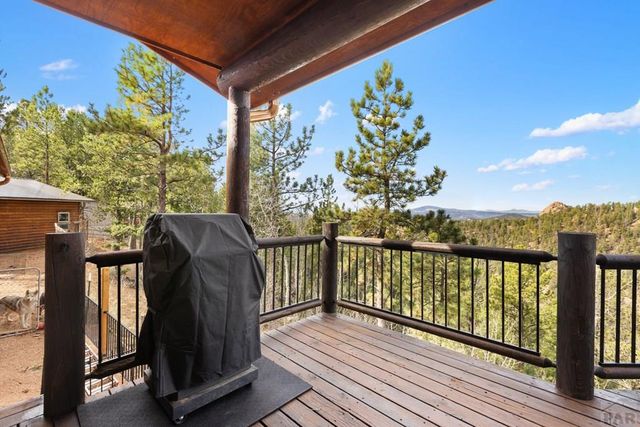 111 Blue Spruce Dr, Divide, CO 80814