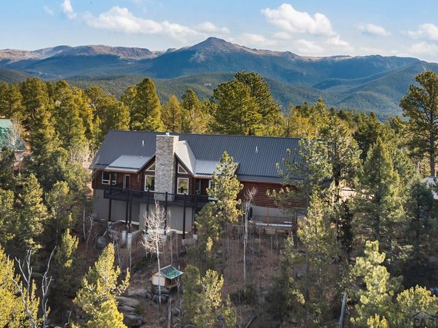 111 Blue Spruce Dr, Divide, CO 80814