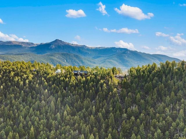 111 Blue Spruce Dr, Divide, CO 80814