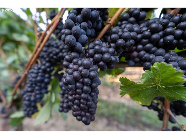 24730 Sw TILE FLAT Rd, Hillsboro, OR 97123