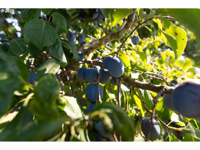 24730 Sw TILE FLAT Rd, Hillsboro, OR 97123