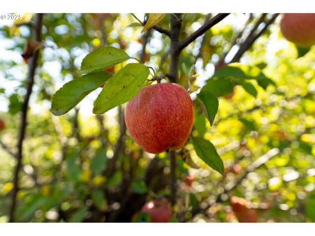 24730 Sw TILE FLAT Rd, Hillsboro, OR 97123