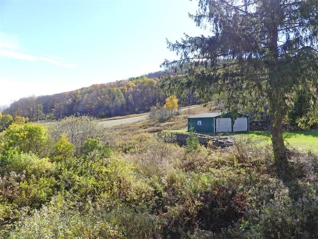 606 Bussey Hollow Road, Andes, NY 13731