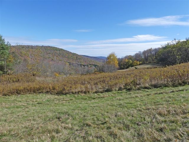 606 Bussey Hollow Road, Andes, NY 13731