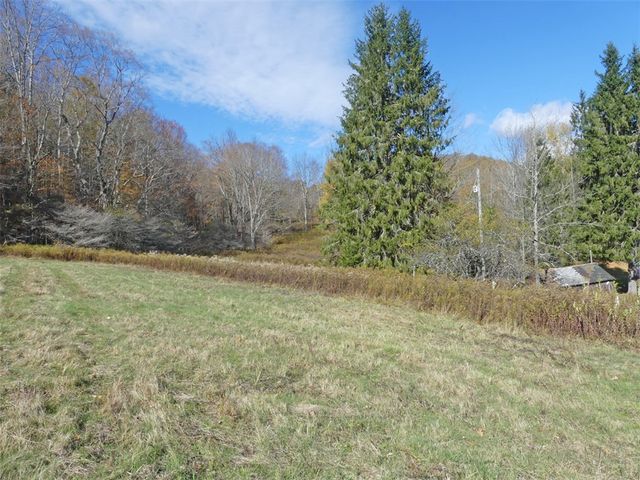 606 Bussey Hollow Road, Andes, NY 13731