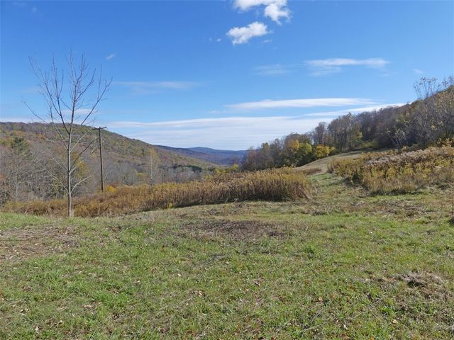 606 Bussey Hollow Road, Andes, NY 13731