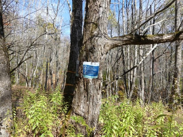 606 Bussey Hollow Road, Andes, NY 13731