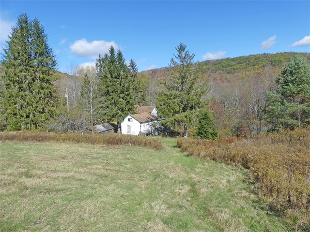 606 Bussey Hollow Road, Andes, NY 13731