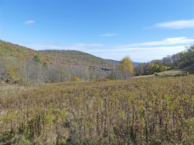 606 Bussey Hollow Road, Andes, NY 13731