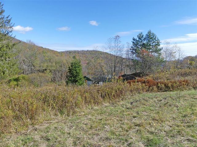606 Bussey Hollow Road, Andes, NY 13731