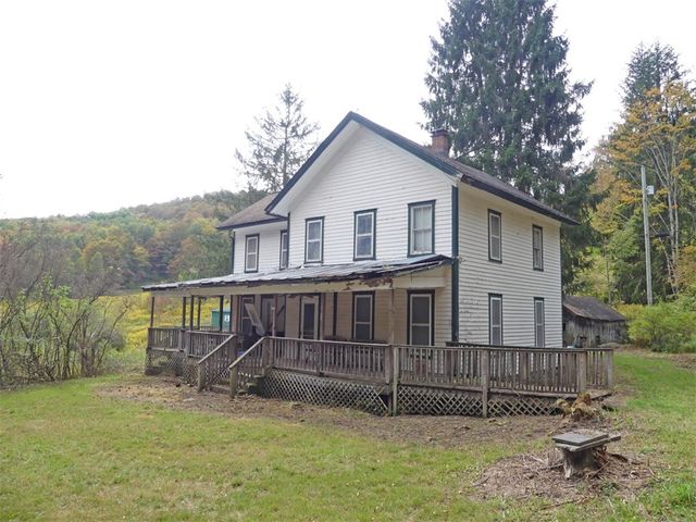 606 Bussey Hollow Road, Andes, NY 13731
